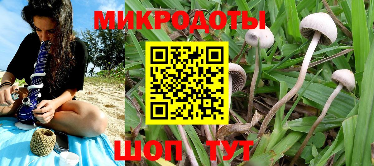 Псилоцибиновые грибы прущие грибы Новоуральск